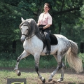 Buch: Galopp und fliegende Wechsel