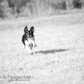 C2016-05-21-5024