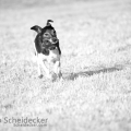 C2016-05-21-5025
