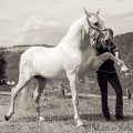 Girassol - PSL im Alter von 26 Jahren