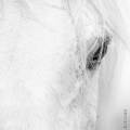 C2015-05-17-0571