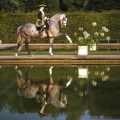 Girassol im Garten von Herrenhausen  Bild von Christiane Slawik