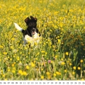 Kalender 2013 - Ruth Giffels