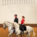 Kalender 2017