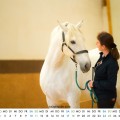 11_November