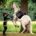 07_426A3555OriginalohneSig