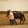 Morgenarbeit 2014 - Ruth Giffels