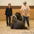 Morgenarbeit 2014 - Ruth Giffels