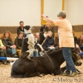 Morgenarbeit 2014 - Ruth Giffels