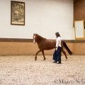 Morgenarbeit 2014 - Ruth Giffels - Freiheitsdressur mit Charlott