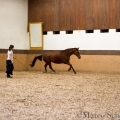 Morgenarbeit 2014 - Ruth Giffels - Freiheitsdressur mit Charlott