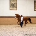 Morgenarbeit 2014 - Ruth Giffels - Freiheitsdressur mit Charlott