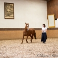 Morgenarbeit 2014 - Ruth Giffels - Freiheitsdressur mit Charlott