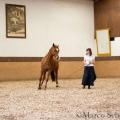 Morgenarbeit 2014 - Ruth Giffels - Freiheitsdressur mit Charlott
