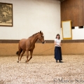 Morgenarbeit 2014 - Ruth Giffels - Freiheitsdressur mit Charlott