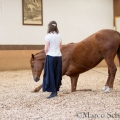Morgenarbeit 2014 - Ruth Giffels - Freiheitsdressur mit Charlott
