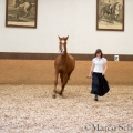 Morgenarbeit 2014 - Ruth Giffels - Freiheitsdressur mit Charlott