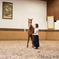 Morgenarbeit 2014 - Ruth Giffels - Freiheitsdressur mit Charlott