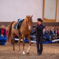Ruth Giffels Morgenarbeit 2018 - Thema - Sprache des Pferdes