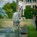 Oasis das Wasserspielkind