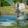 Oasis das Wasserspielkind
