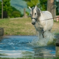 Oasis das Wasserspielkind