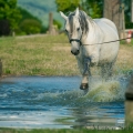 Oasis das Wasserspielkind