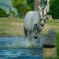 Oasis das Wasserspielkind