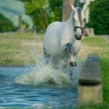 Oasis das Wasserspielkind