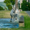 Oasis das Wasserspielkind