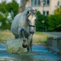 Oasis das Wasserspielkind