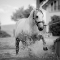 Oasis das Wasserspielkind