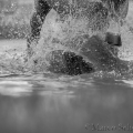 Oasis das Wasserspielkind