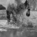 Oasis das Wasserspielkind