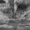 Oasis das Wasserspielkind