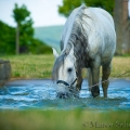 Oasis das Wasserspielkind