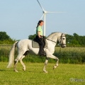 Ruth Giffels mit Oasis PSL Hengst - Training Juni 2013