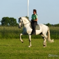 Ruth Giffels mit Oasis PSL Hengst - Training Juni 2013