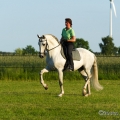 Ruth Giffels mit Oasis PSL Hengst - Training Juni 2013