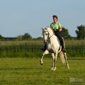 Ruth Giffels mit Oasis PSL Hengst - Training Juni 2013