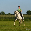 Ruth Giffels mit Oasis PSL Hengst - Training Juni 2013