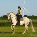 Ruth Giffels mit Oasis PSL Hengst - Training Juni 2013