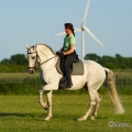 Ruth Giffels mit Oasis PSL Hengst - Training Juni 2013