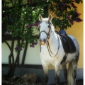Pintor mit Ruth Giffels