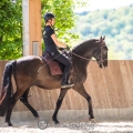 Nioto, 8jähriger Lusitano unter Simone Stülb
