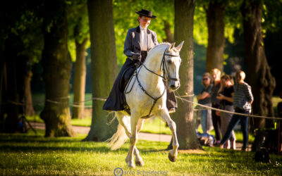 Thementag: Seitengänge