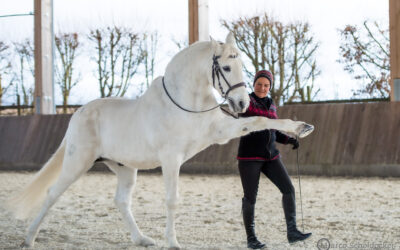 Pintor ist 30 geworden!