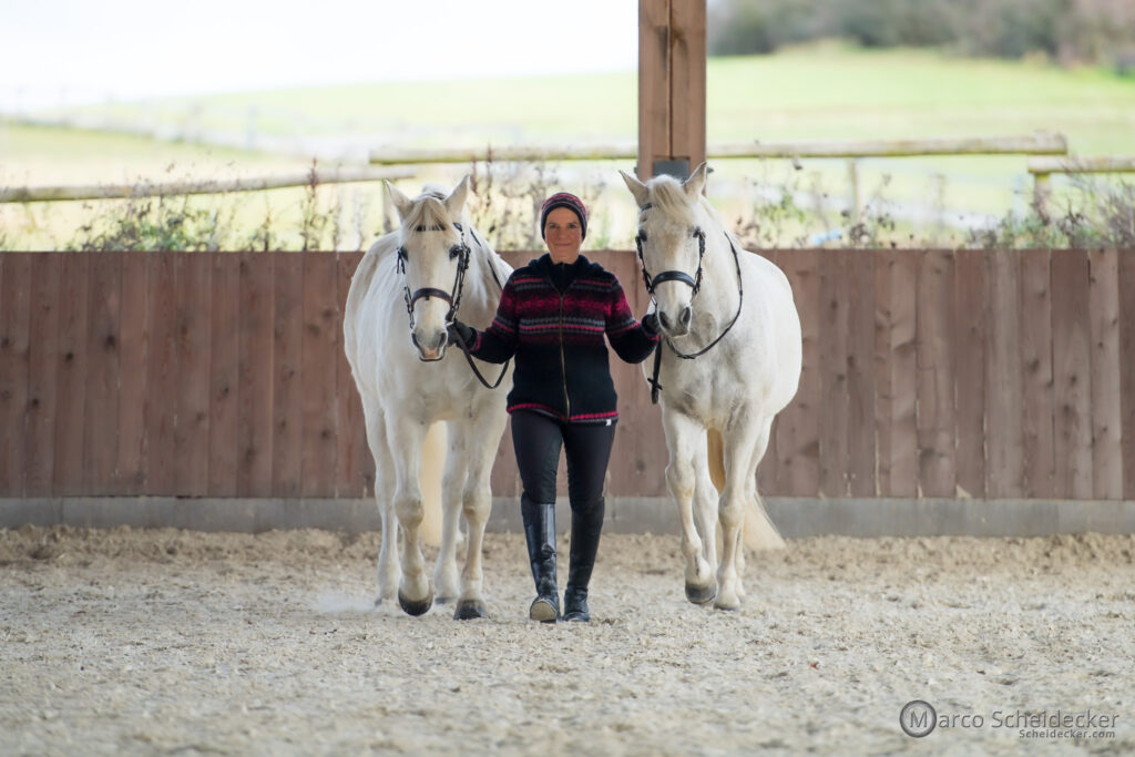 Pintor ist 30 geworden!! Seit 27 Jahren ist er bei mir, immer noch sehr fröhlich. Wir gehen spazieren und machen Handarbeit. An guten Tagen zeigt er an der Longe seinen Mitteltrab.
Sein Freund Xeique und er freuen sich auf den Frühling und die Weidesaison. 