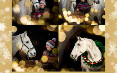 Frohe Weihnachten und ein gesundes neues Jahr